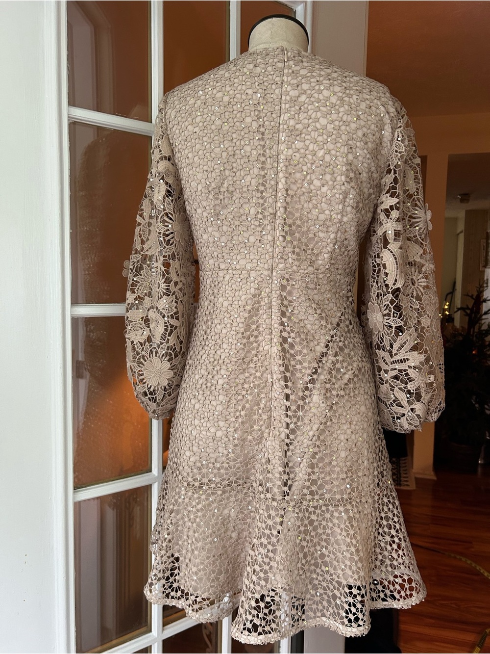 French Connection Nude Caballo Lace Sequined Mini Dress. Sz. 6 - Picture 7 of 15